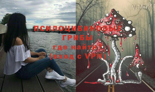 jwh Касимов