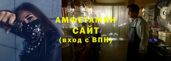 гидра Карпинск