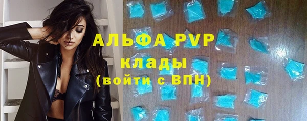 гидра Карпинск