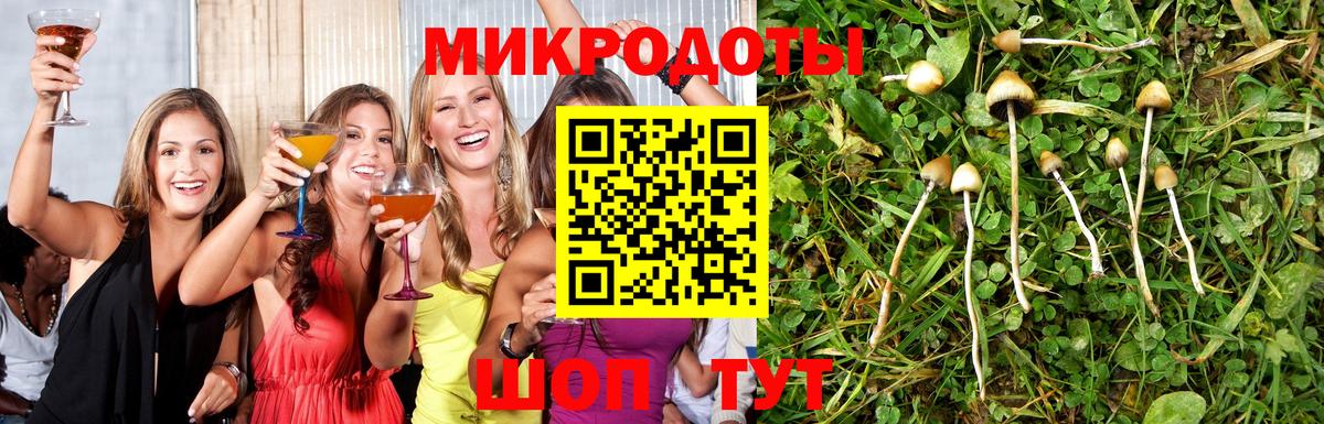 Галлюциногенные грибы мицелий  Вход с VPN  Лесозаводск 