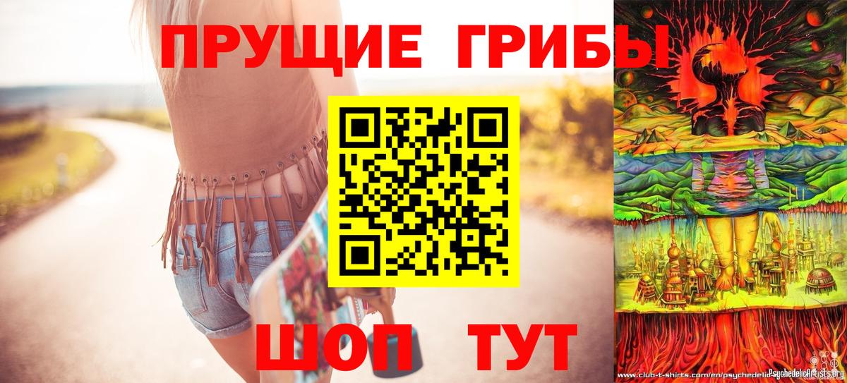 Галлюциногенные грибы GOLDEN TEACHER Лесозаводск