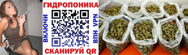 купить  цена  Лесозаводск  МАРИХУАНА тримм 
